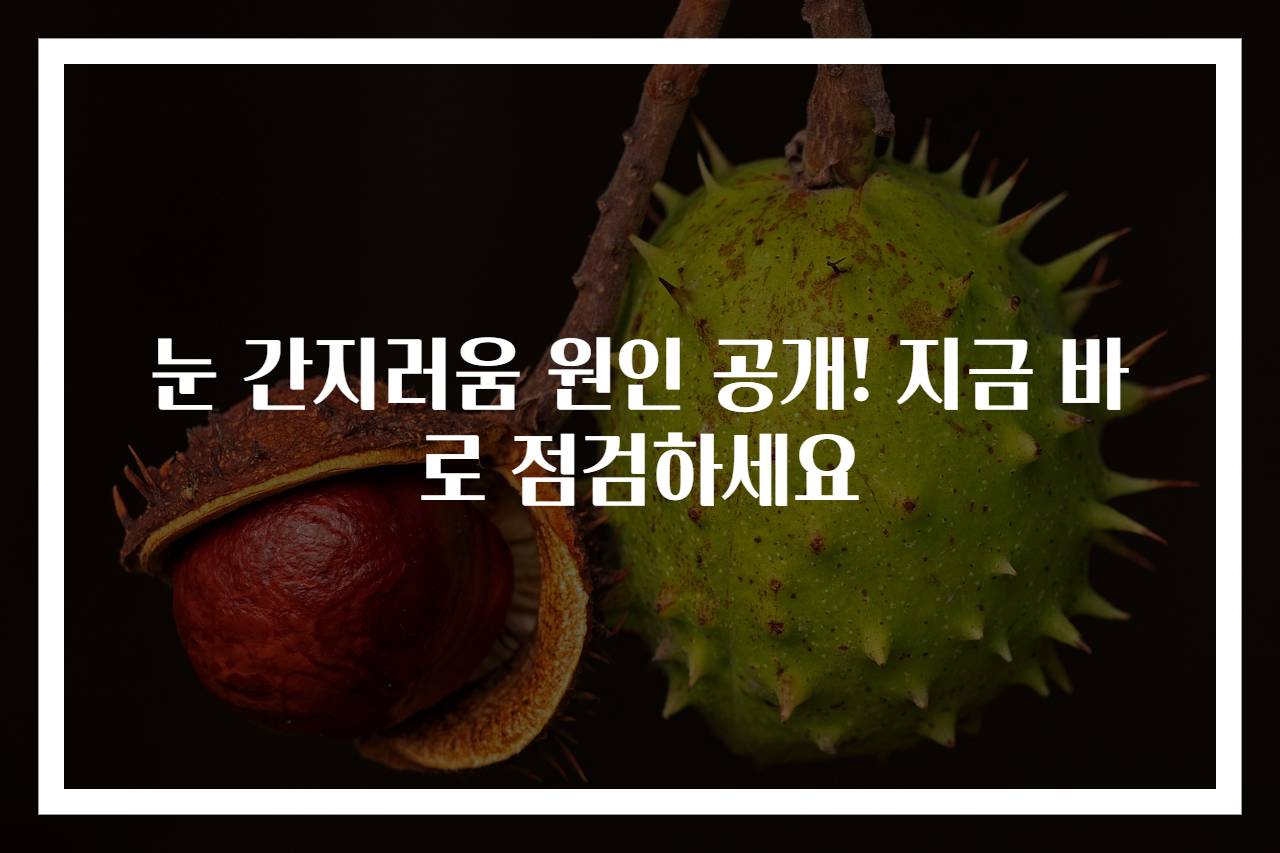 눈 간지러움 원인 공개! 지금 바로 점검하세요