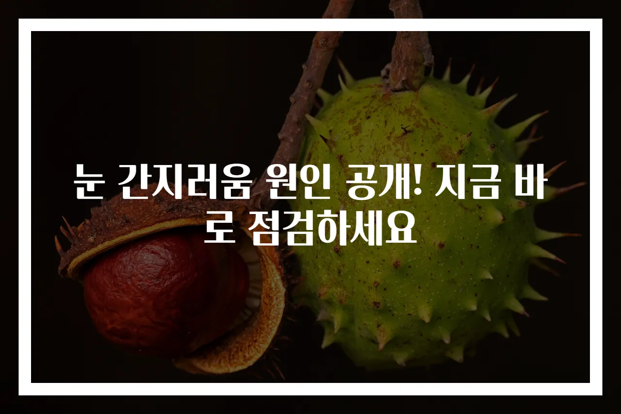 눈 간지러움 원인 공개! 지금 바로 점검하세요