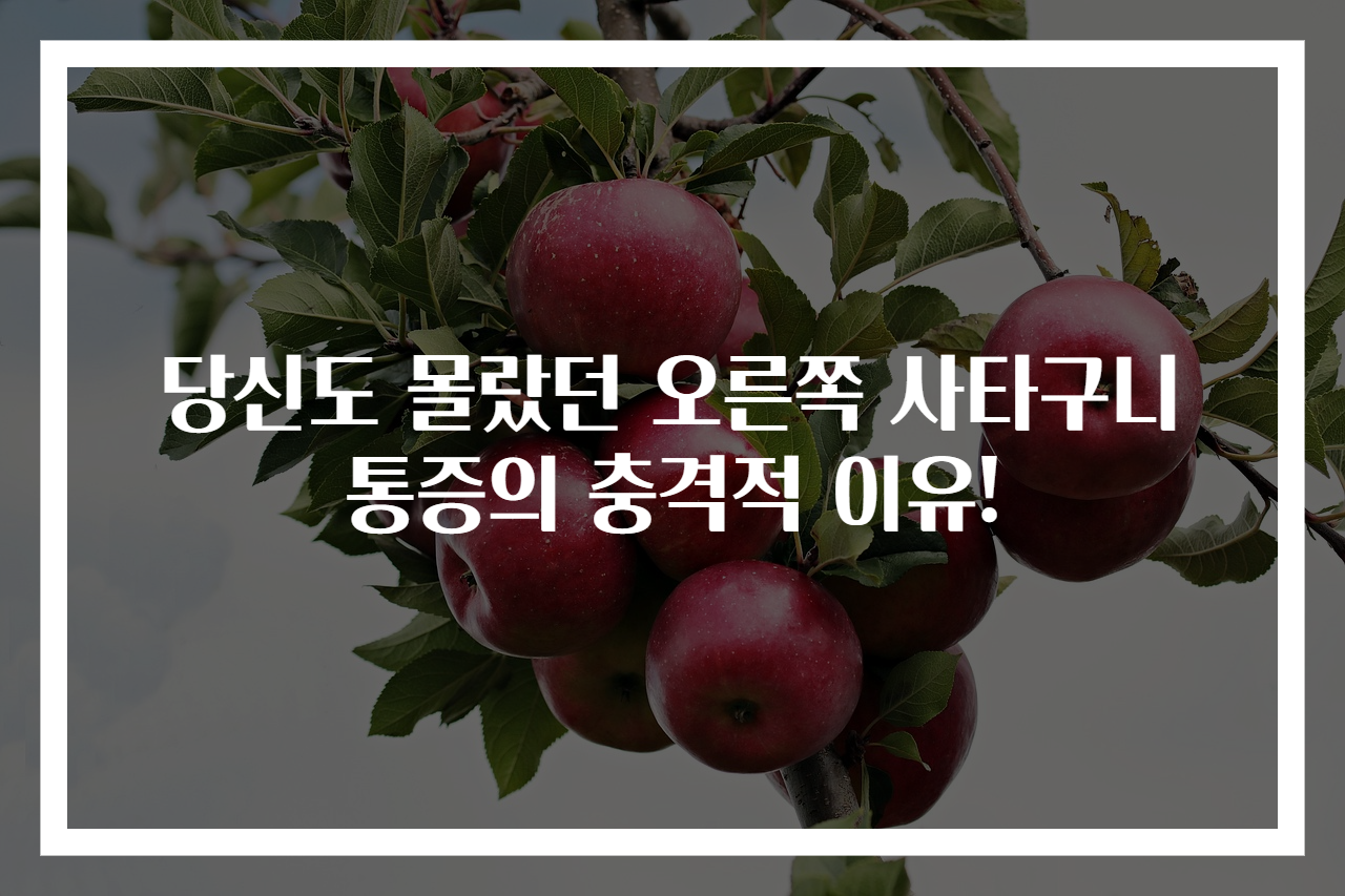당신도 몰랐던 오른쪽 사타구니 통증의 충격적 이유!