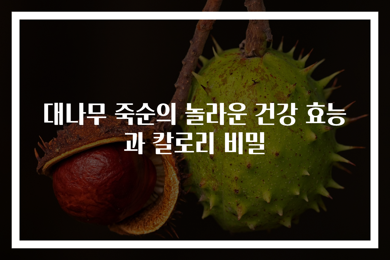 대나무 죽순의 놀라운 건강 효능과 칼로리 비밀