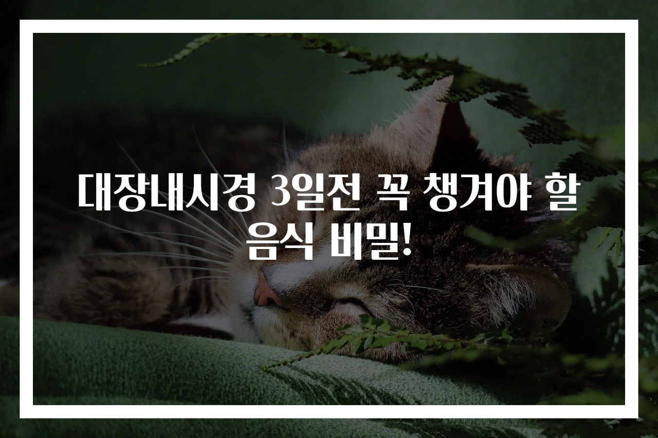 대장내시경 3일전 꼭 챙겨야 할 음식 비밀!