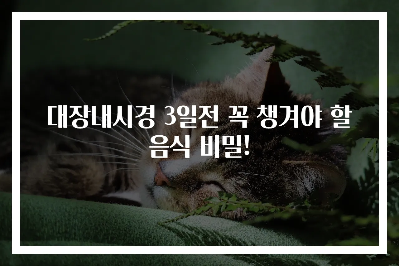 대장내시경 3일전 꼭 챙겨야 할 음식 비밀!
