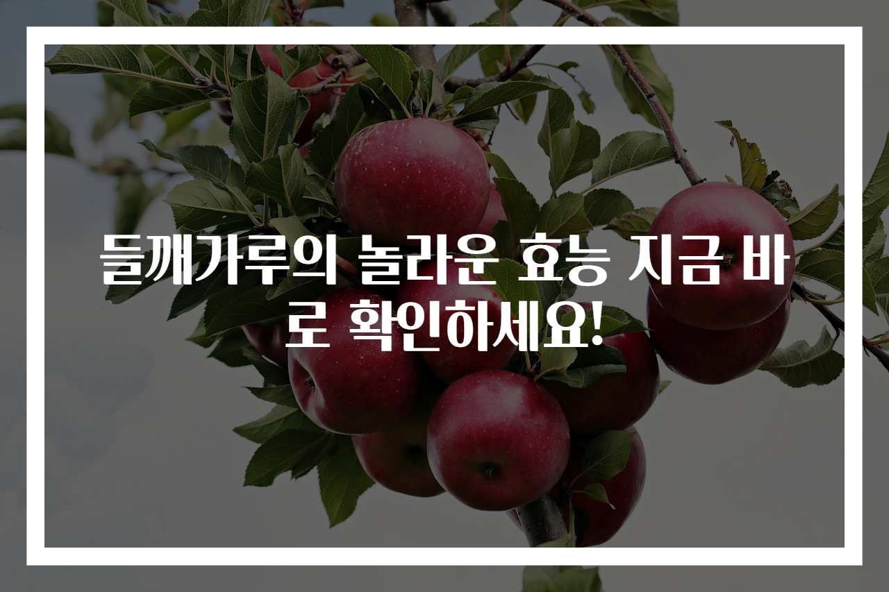 들깨가루의 놀라운 효능 지금 바로 확인하세요!