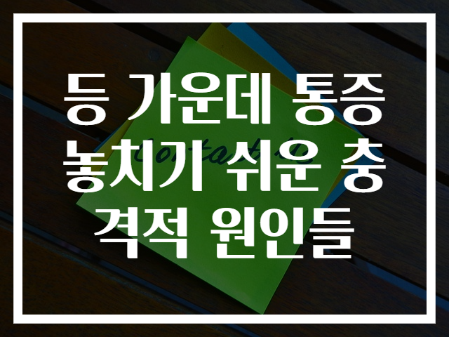 등 가운데 통증 놓치기 쉬운 충격적 원인들