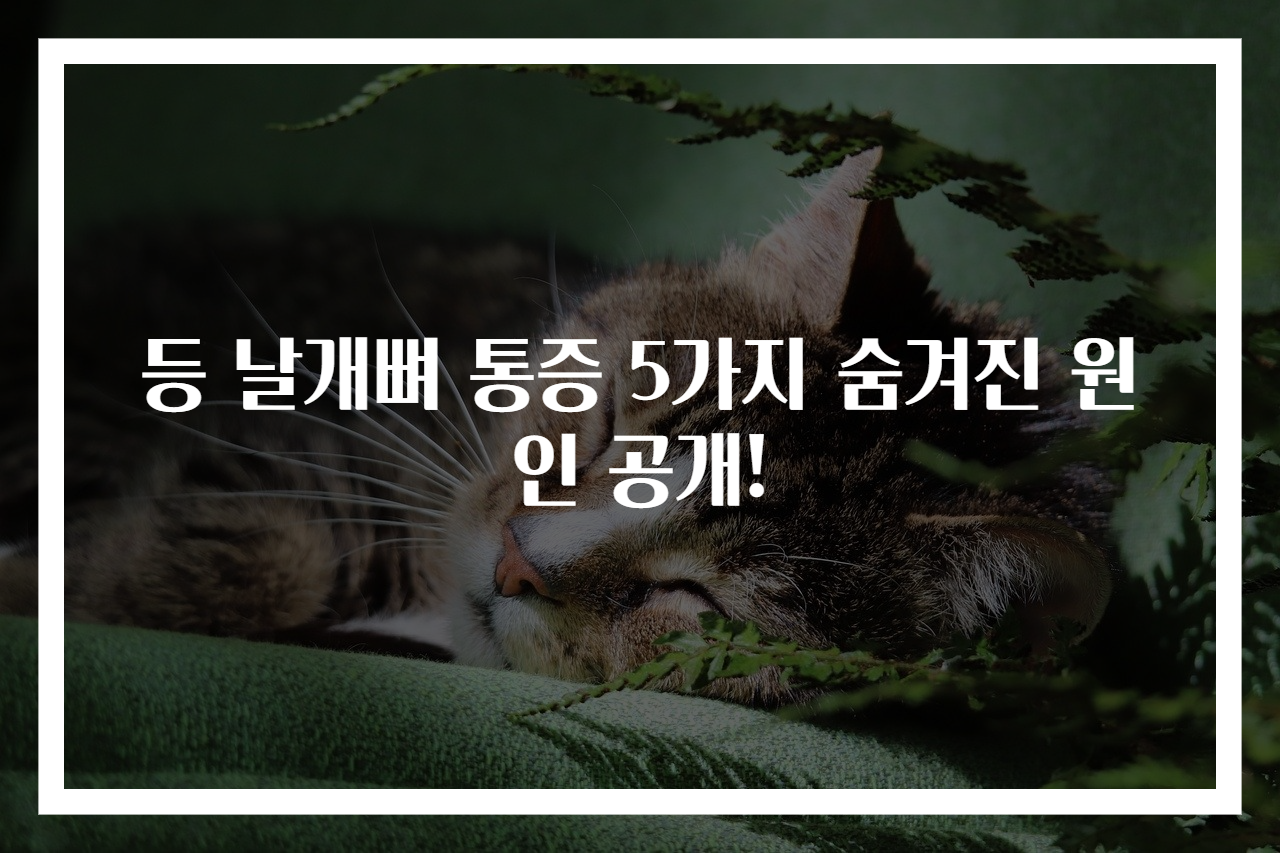 등 날개뼈 통증 5가지 숨겨진 원인 공개!