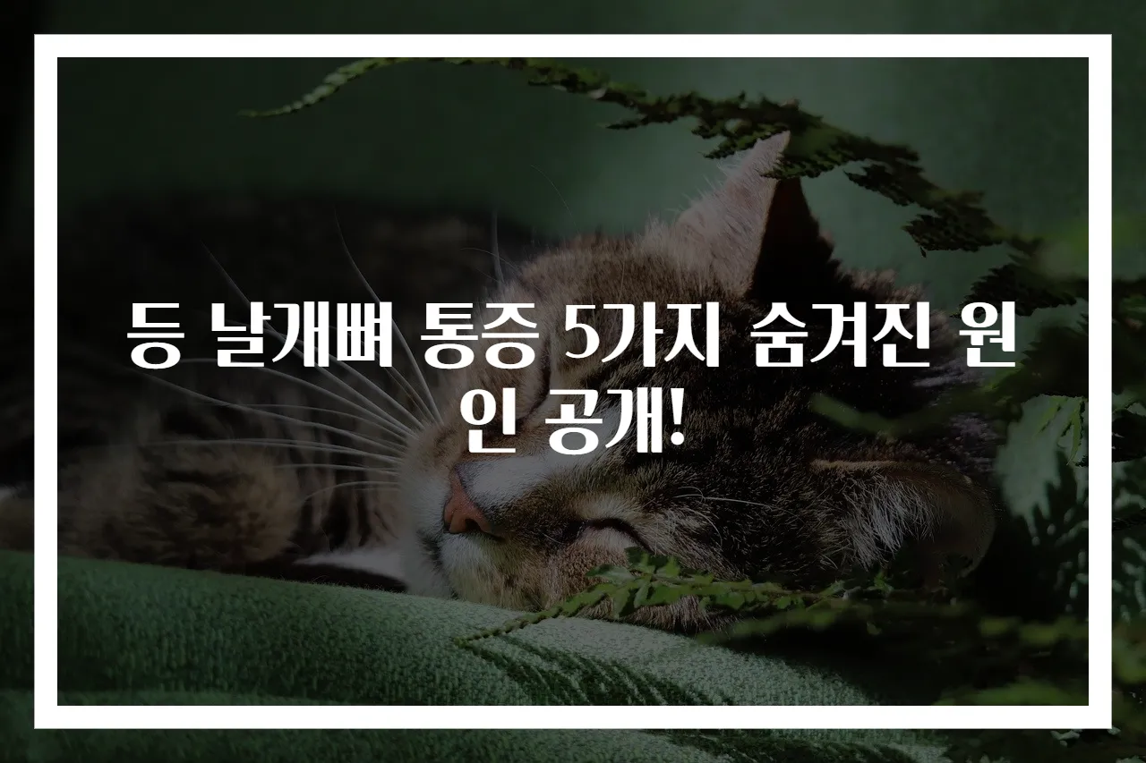등 날개뼈 통증 5가지 숨겨진 원인 공개!
