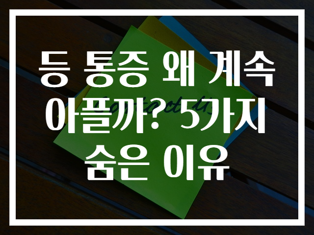 등 통증 왜 계속 아플까? 5가지 숨은 이유