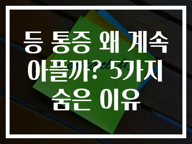 등 통증 왜 계속 아플까? 5가지 숨은 이유