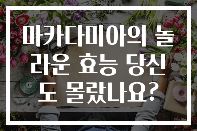 마카다미아의 놀라운 효능 당신도 몰랐나요?