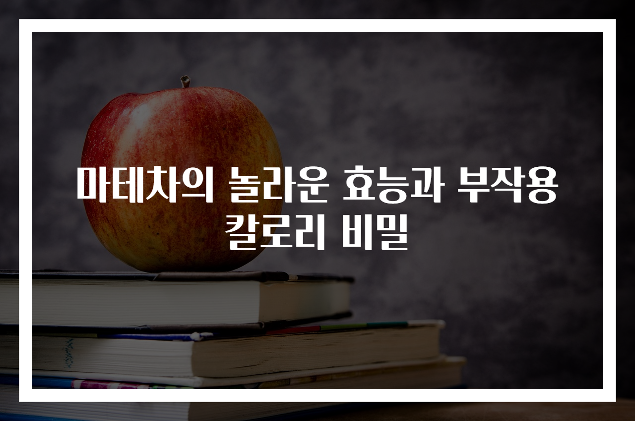 마테차의 놀라운 효능과 부작용 칼로리 비밀