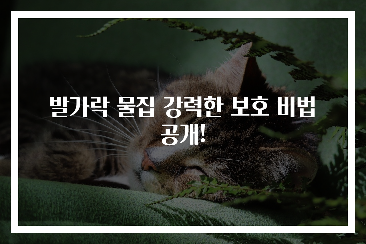 발가락 물집 강력한 보호 비법 공개!