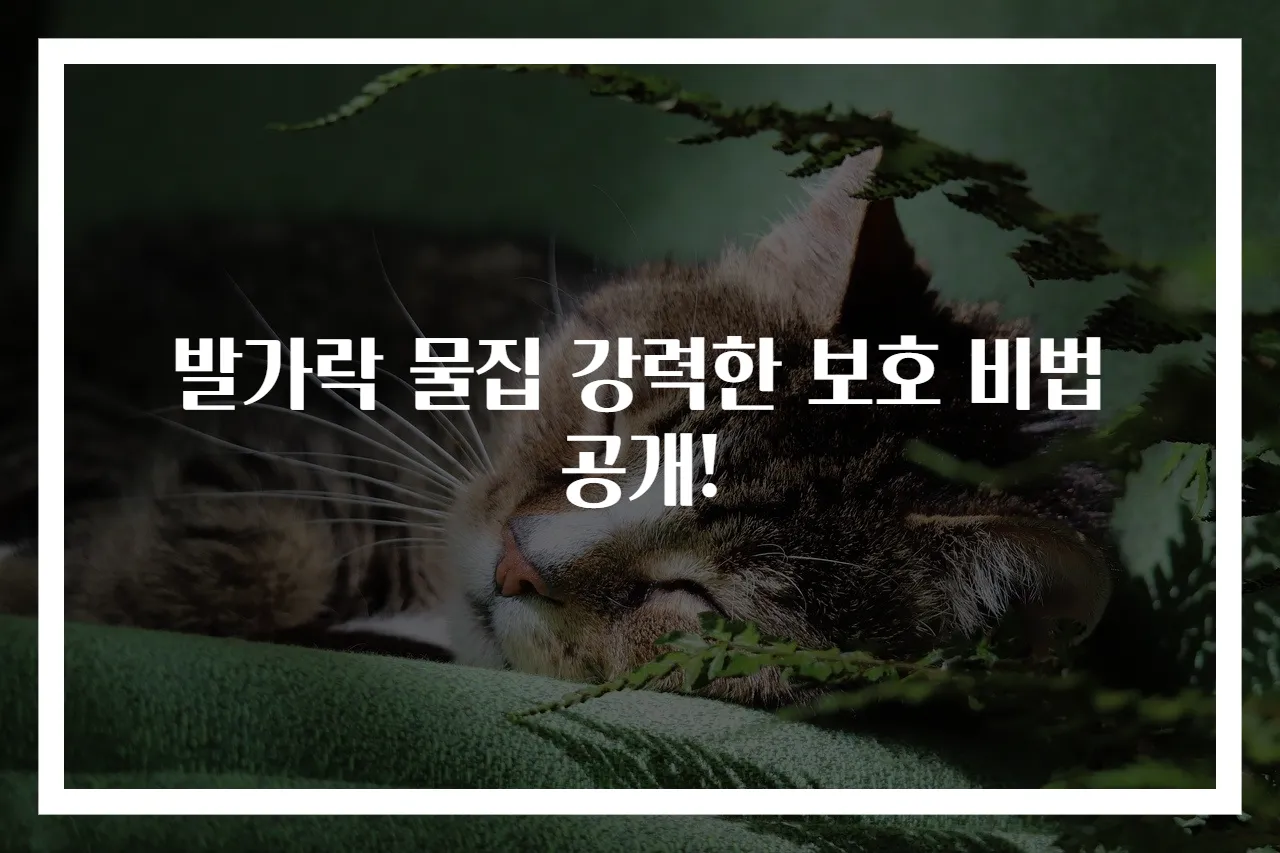 발가락 물집 강력한 보호 비법 공개!