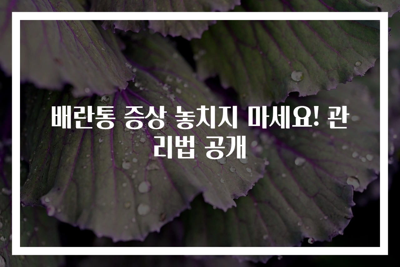 배란통 증상 놓치지 마세요! 관리법 공개