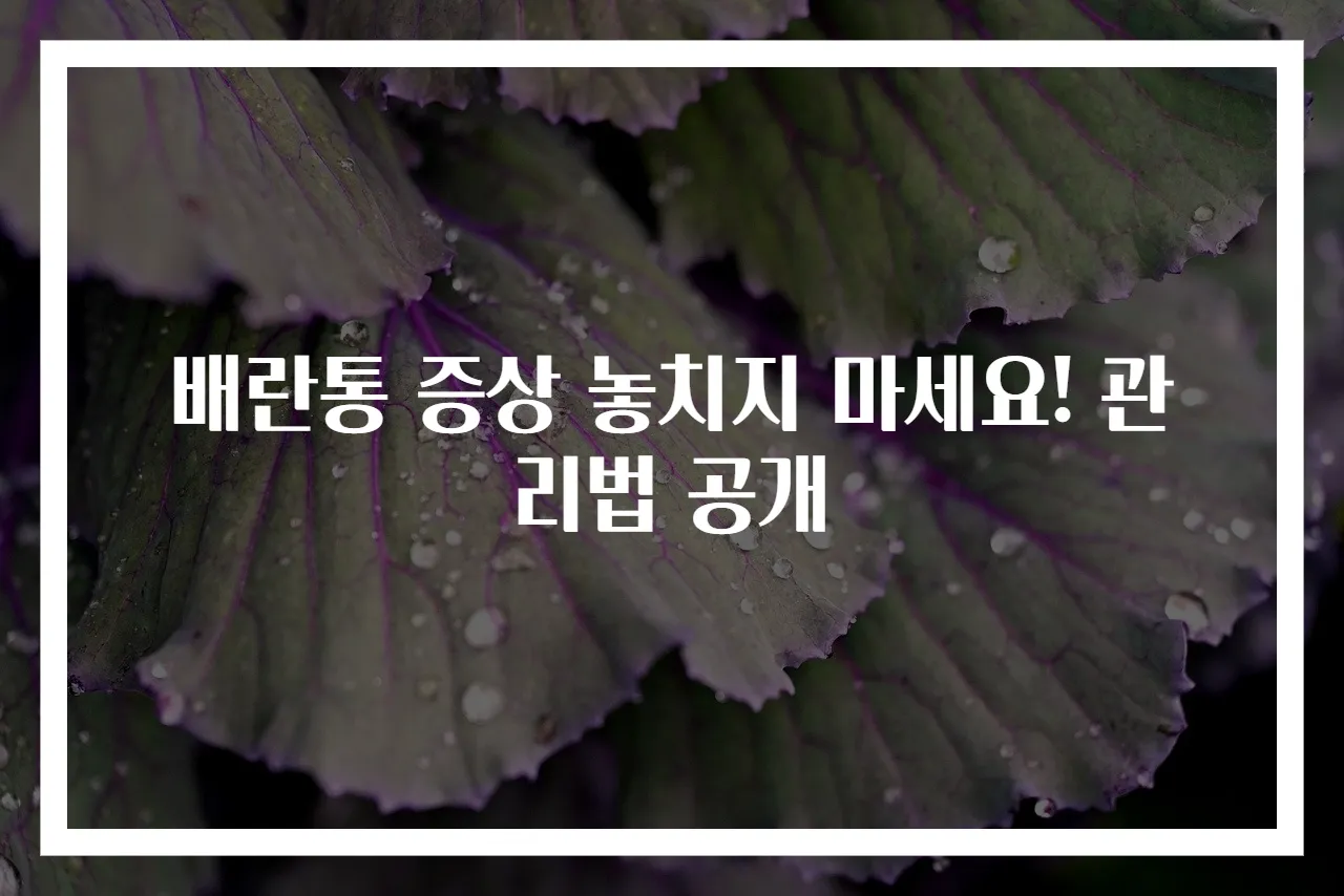 배란통 증상 놓치지 마세요! 관리법 공개