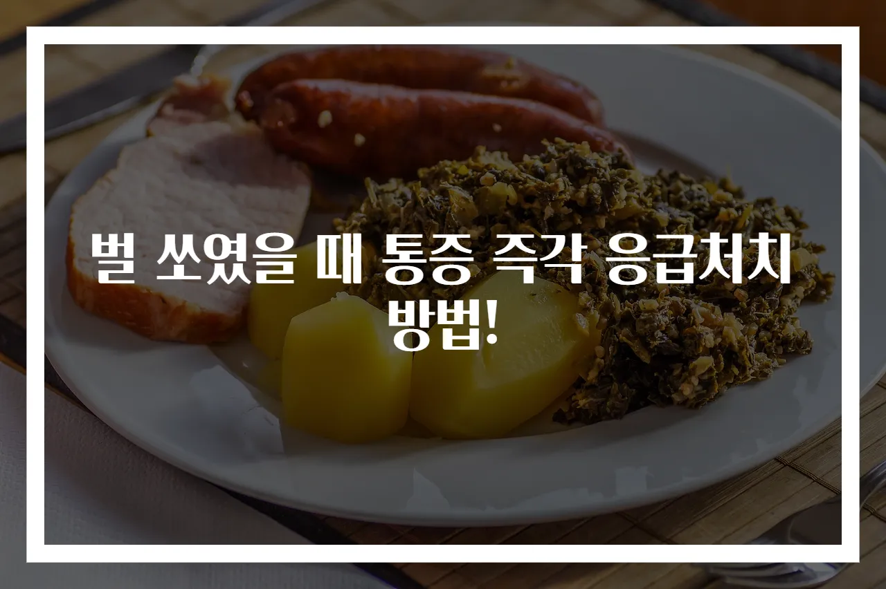 벌 쏘였을 때 통증 즉각 응급처치 방법!