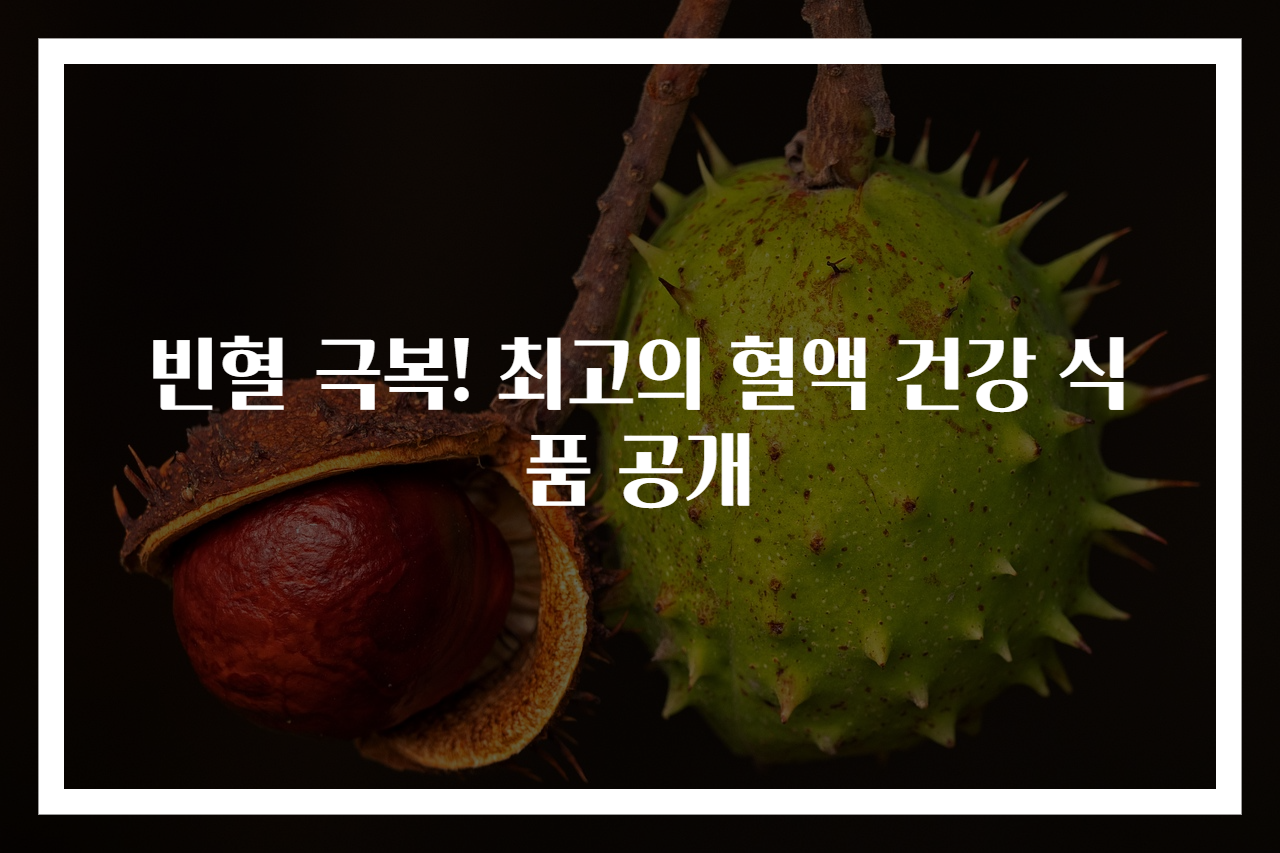 빈혈 극복! 최고의 혈액 건강 식품 공개