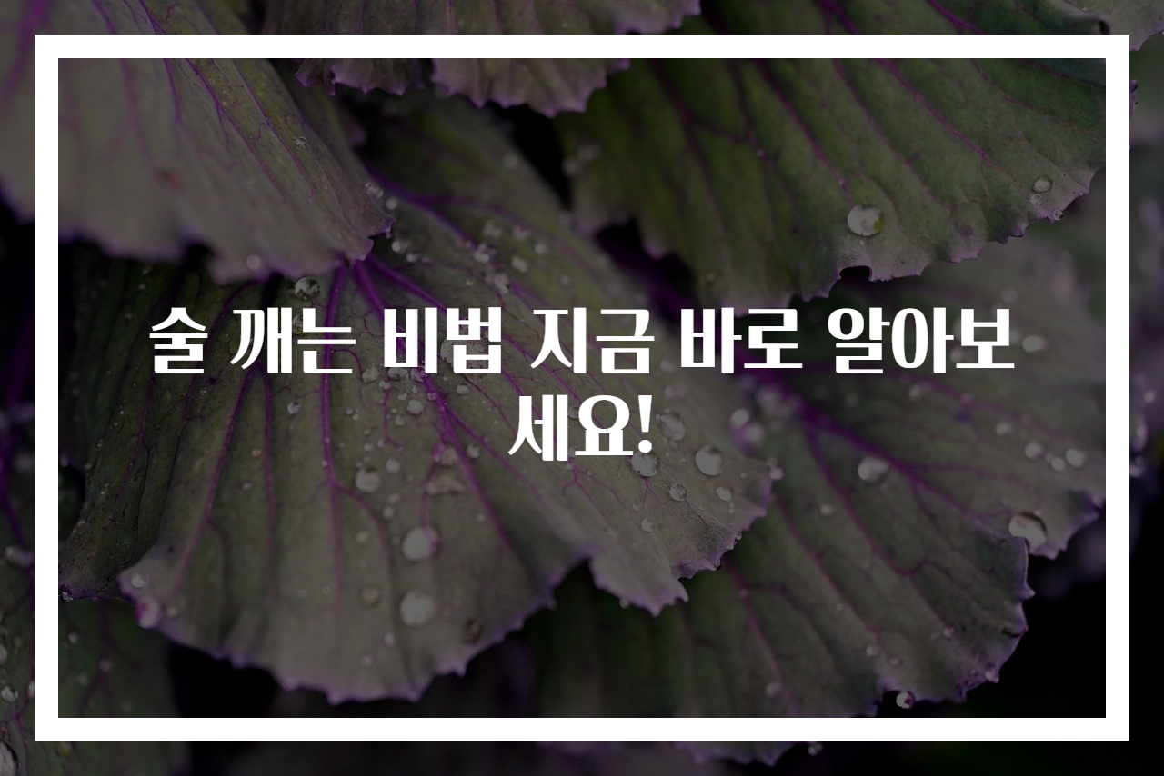 술 깨는 비법 지금 바로 알아보세요!