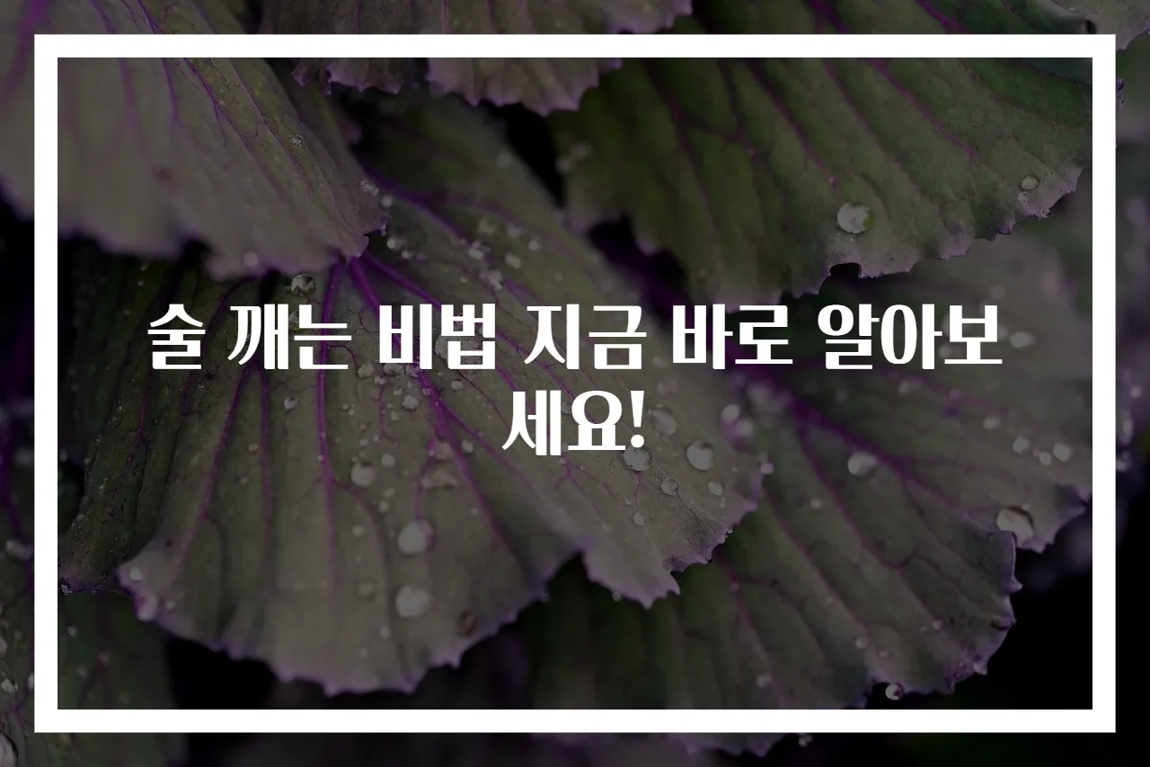 술 깨는 비법 지금 바로 알아보세요!