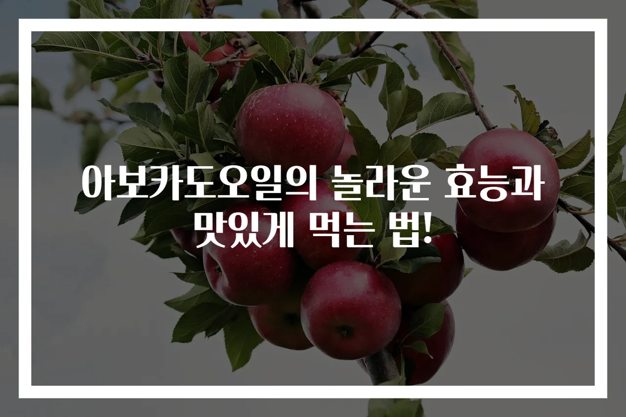 아보카도오일의 놀라운 효능과 맛있게 먹는 법!