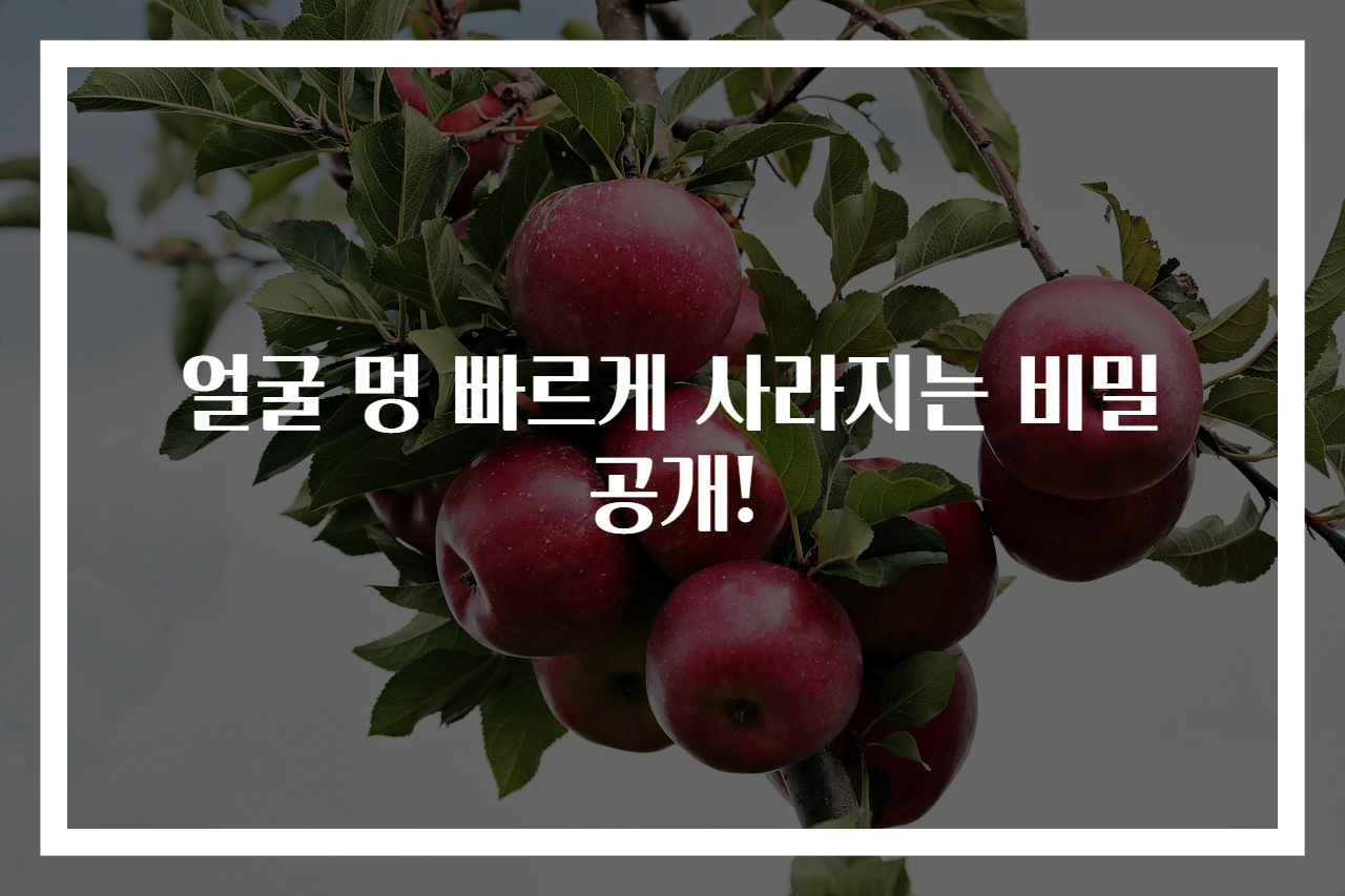 얼굴 멍 빠르게 사라지는 비밀 공개!