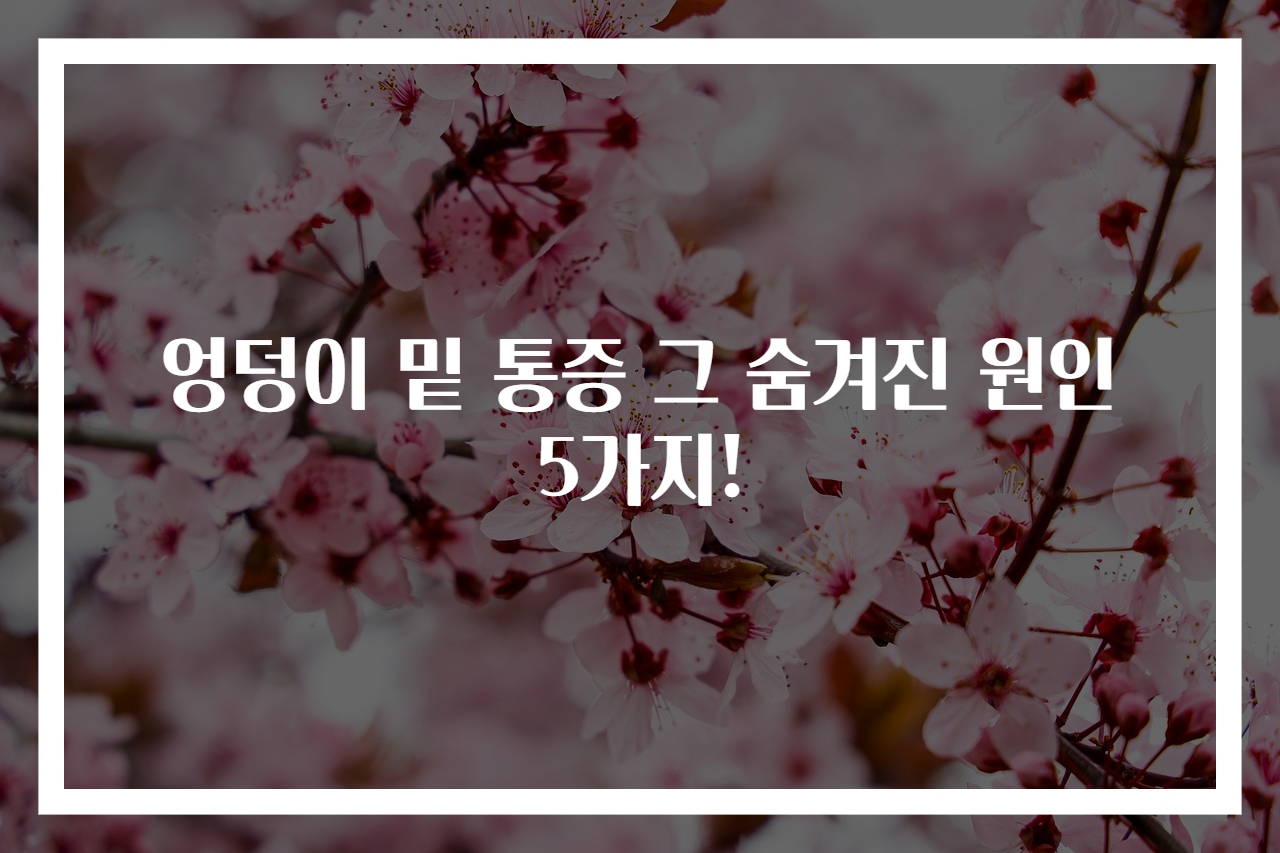 엉덩이 밑 통증 그 숨겨진 원인 5가지!