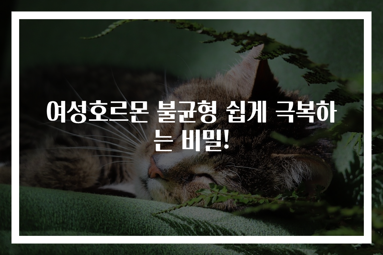 여성호르몬 불균형 쉽게 극복하는 비밀!