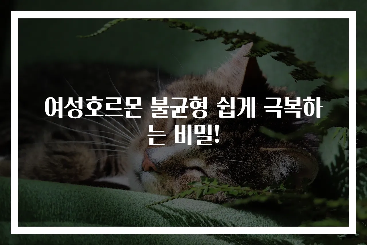 여성호르몬 불균형 쉽게 극복하는 비밀!