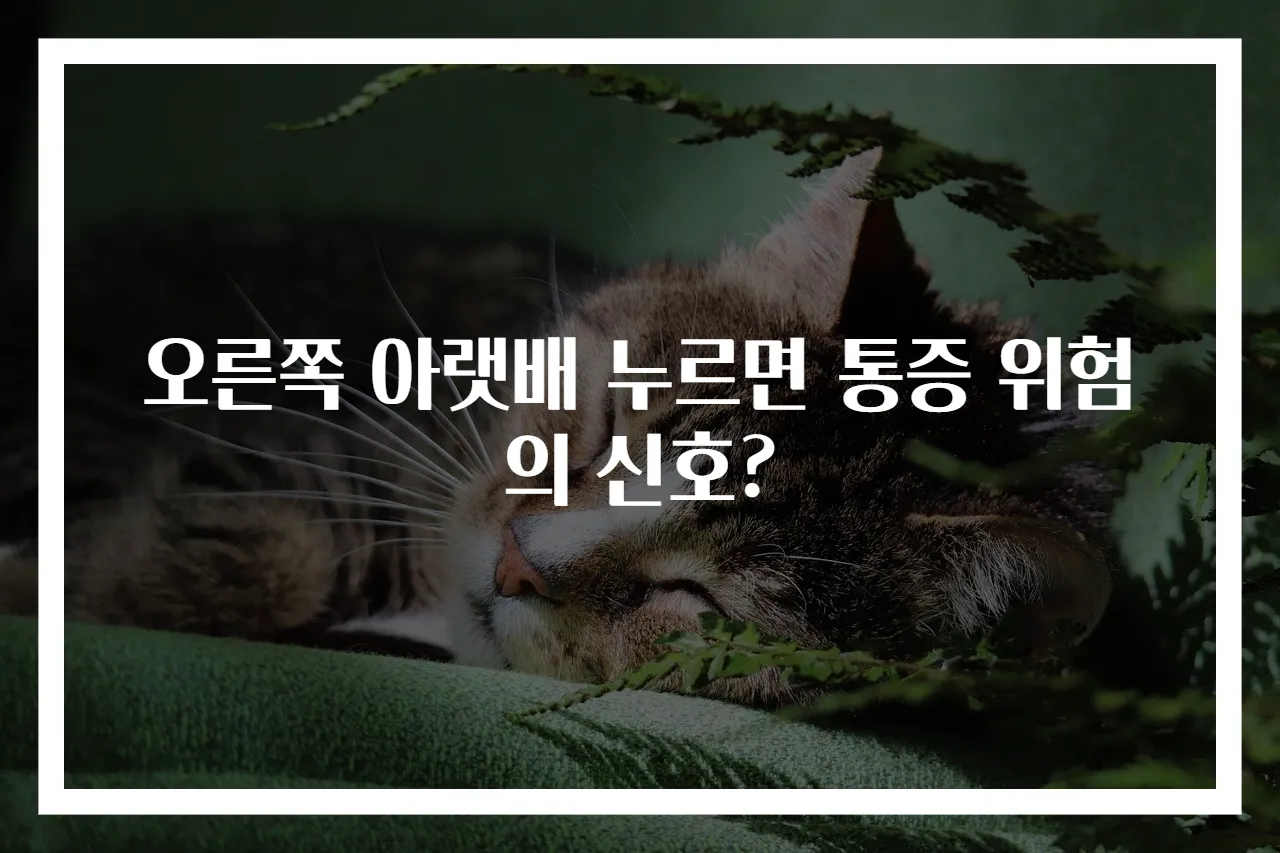 오른쪽 아랫배 누르면 통증 위험의 신호?