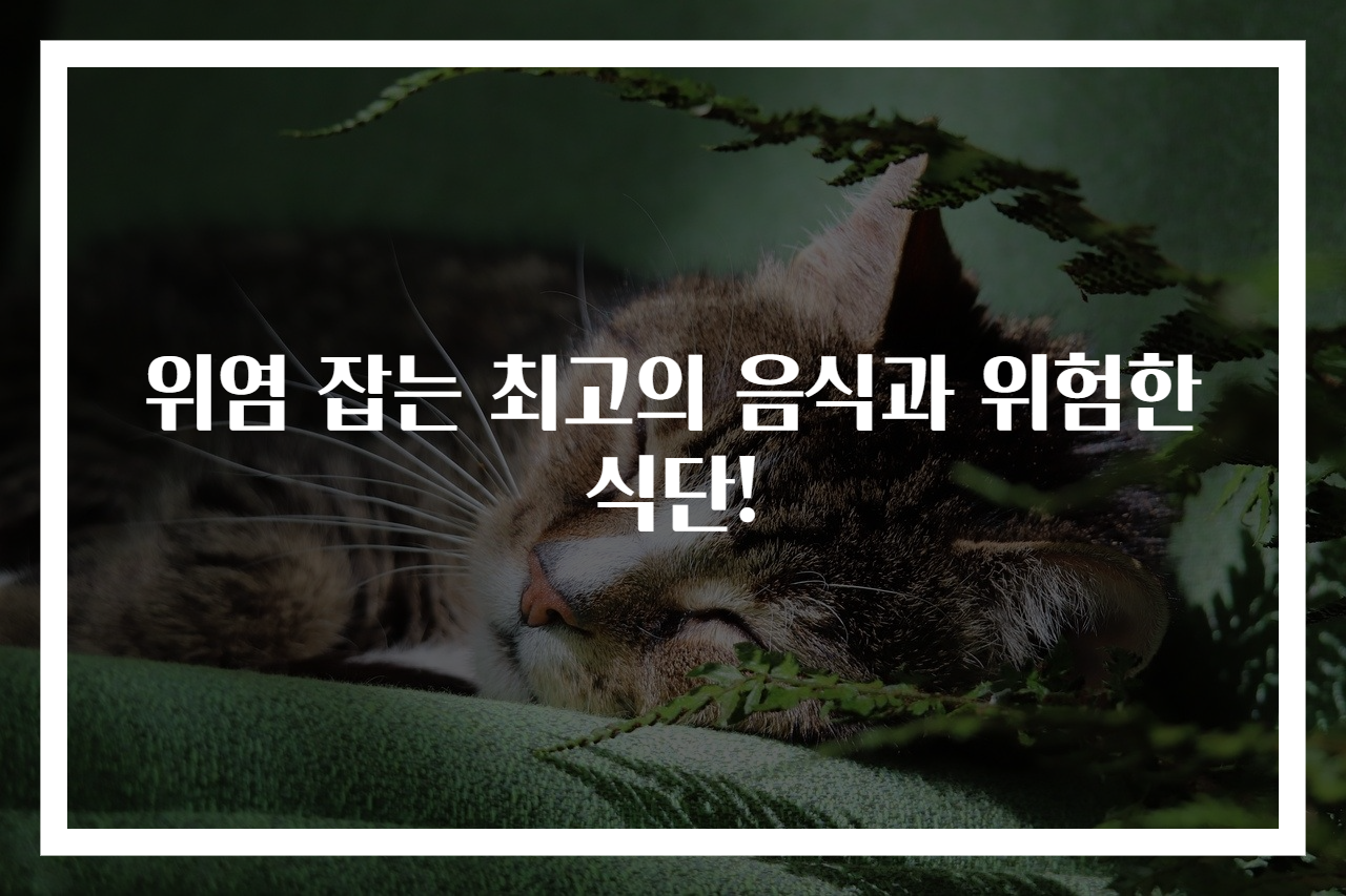 위염 잡는 최고의 음식과 위험한 식단!