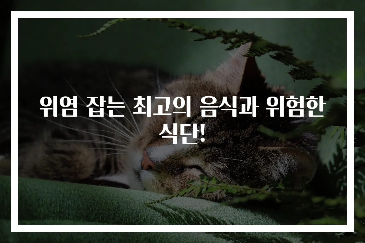 위염 잡는 최고의 음식과 위험한 식단!