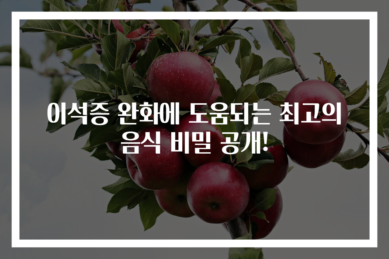 이석증 완화에 도움되는 최고의 음식 비밀 공개!