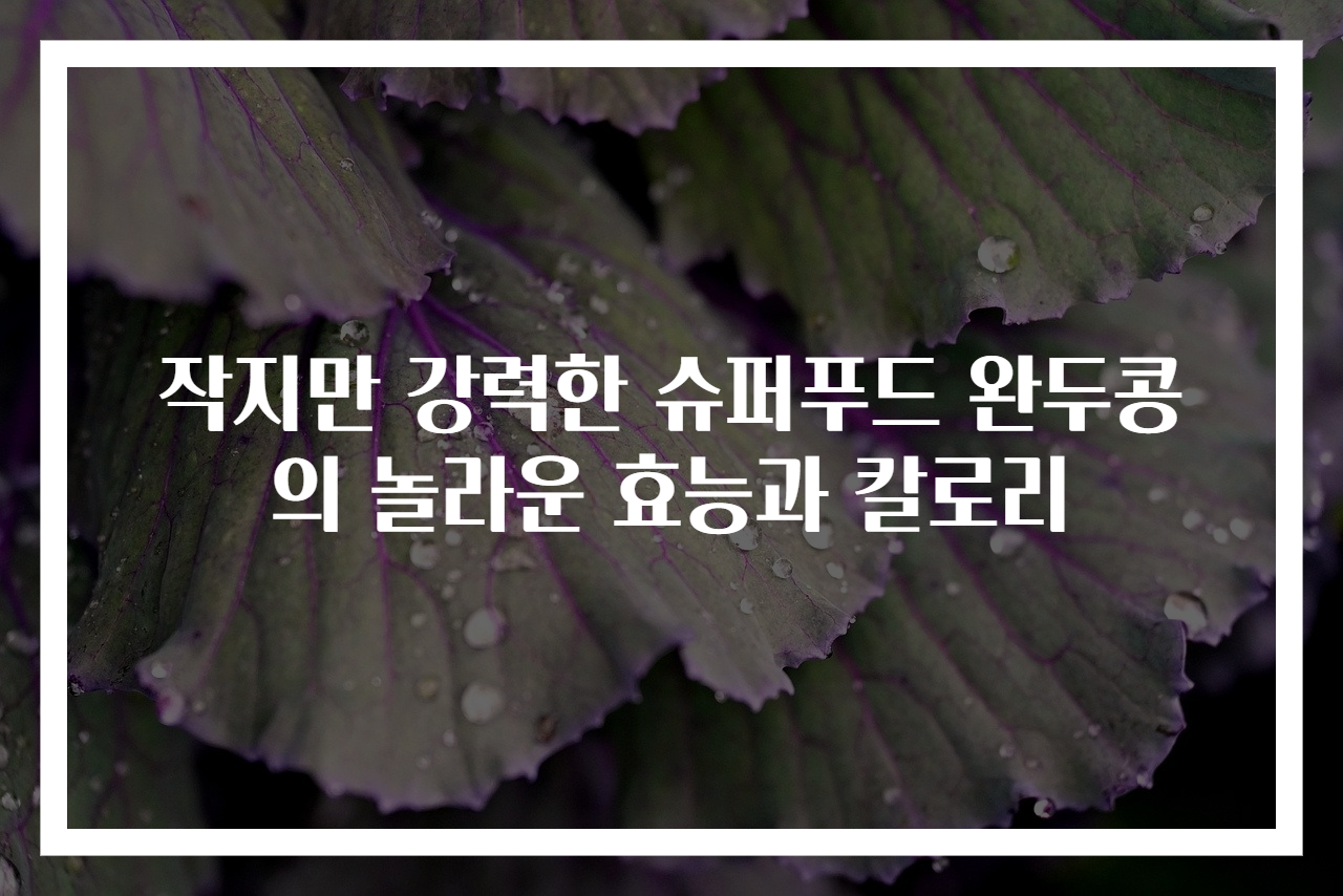 작지만 강력한 슈퍼푸드 완두콩의 놀라운 효능과 칼로리