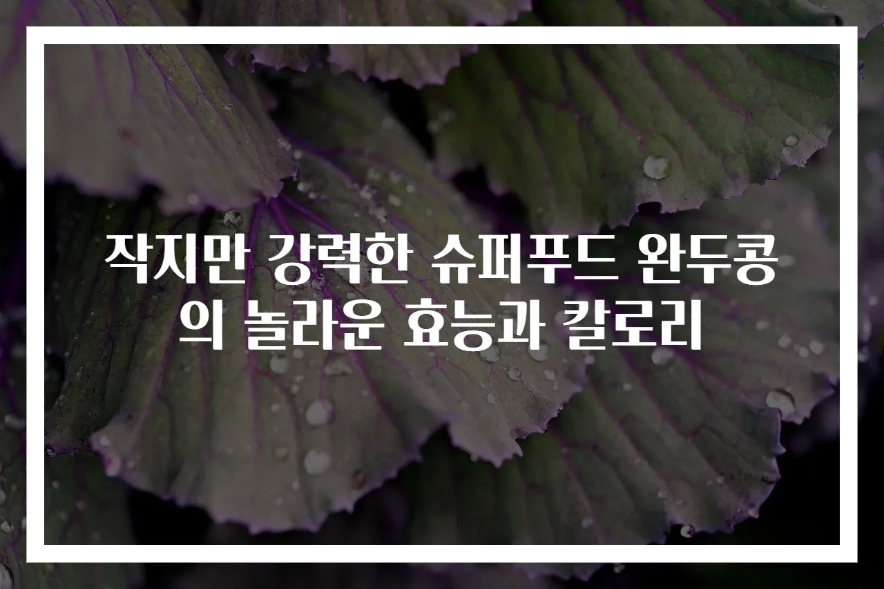 작지만 강력한 슈퍼푸드 완두콩의 놀라운 효능과 칼로리