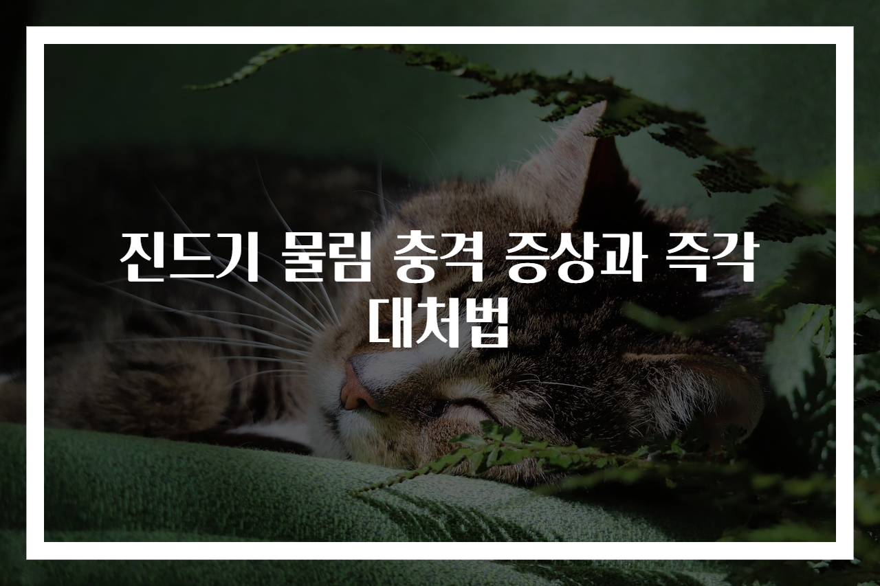 진드기 물림 충격 증상과 즉각 대처법