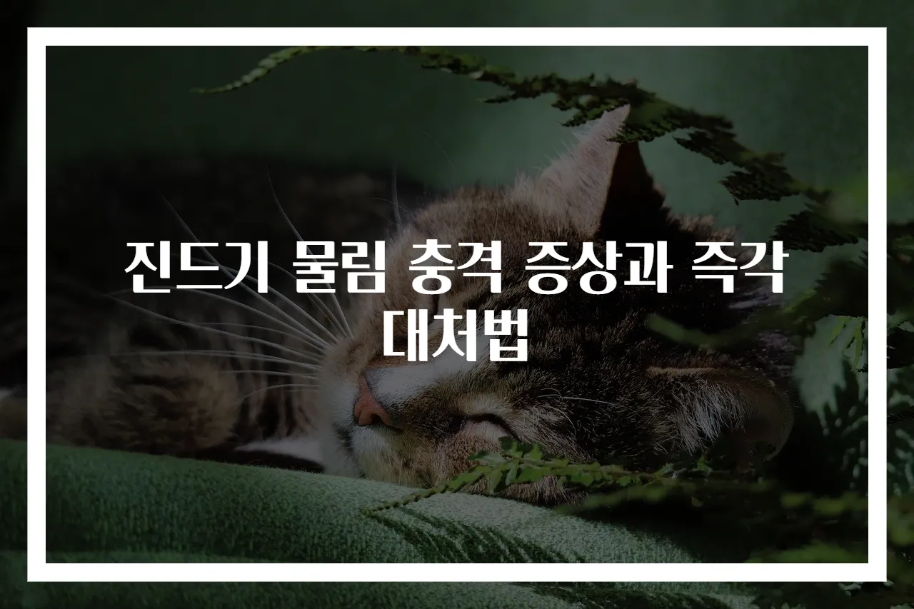 진드기 물림 충격 증상과 즉각 대처법