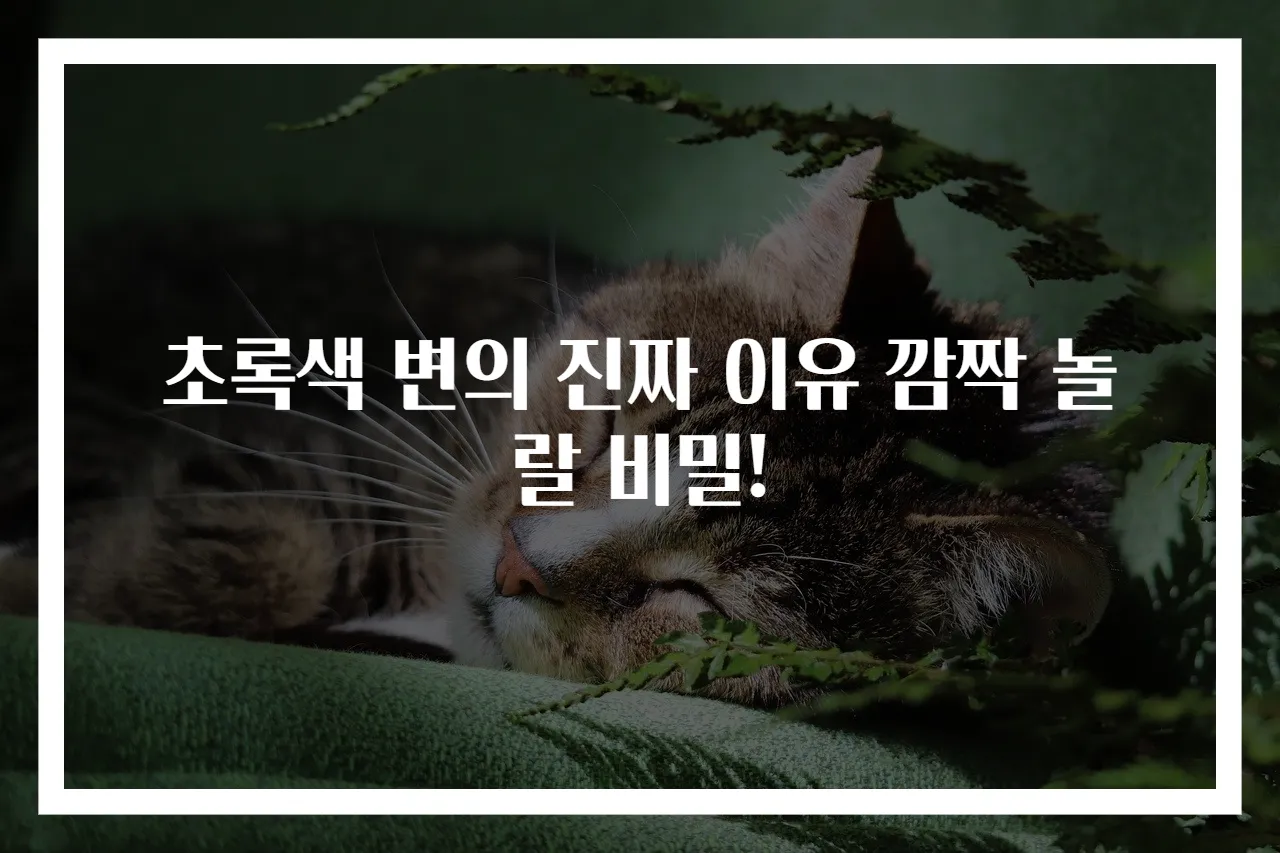 초록색 변의 진짜 이유 깜짝 놀랄 비밀!