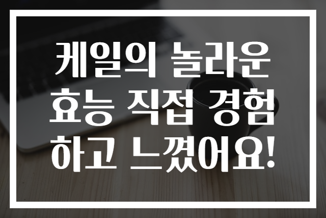 케일의 놀라운 효능 직접 경험하고 느꼈어요!