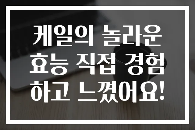 케일의 놀라운 효능 직접 경험하고 느꼈어요!
