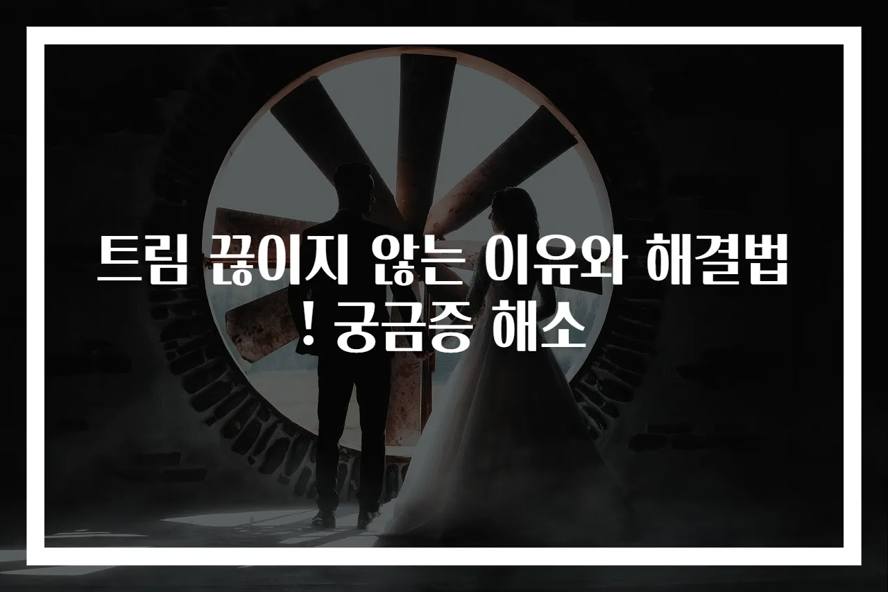 트림 끊이지 않는 이유와 해결법! 궁금증 해소