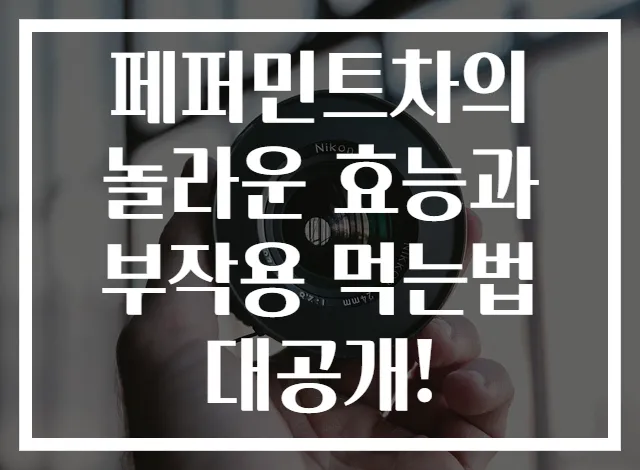 페퍼민트차의 놀라운 효능과 부작용 먹는법 대공개!