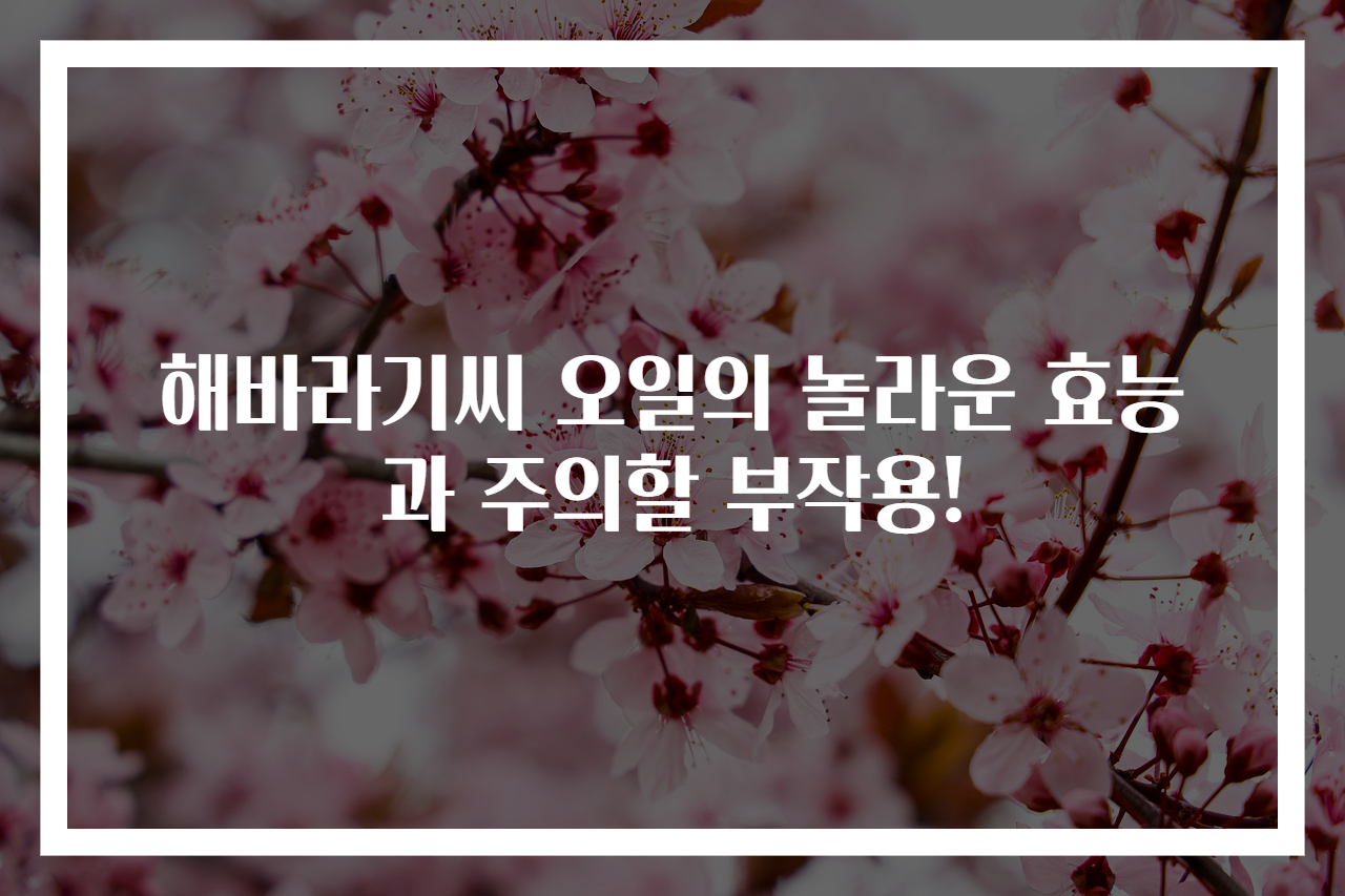 해바라기씨 오일의 놀라운 효능과 주의할 부작용!