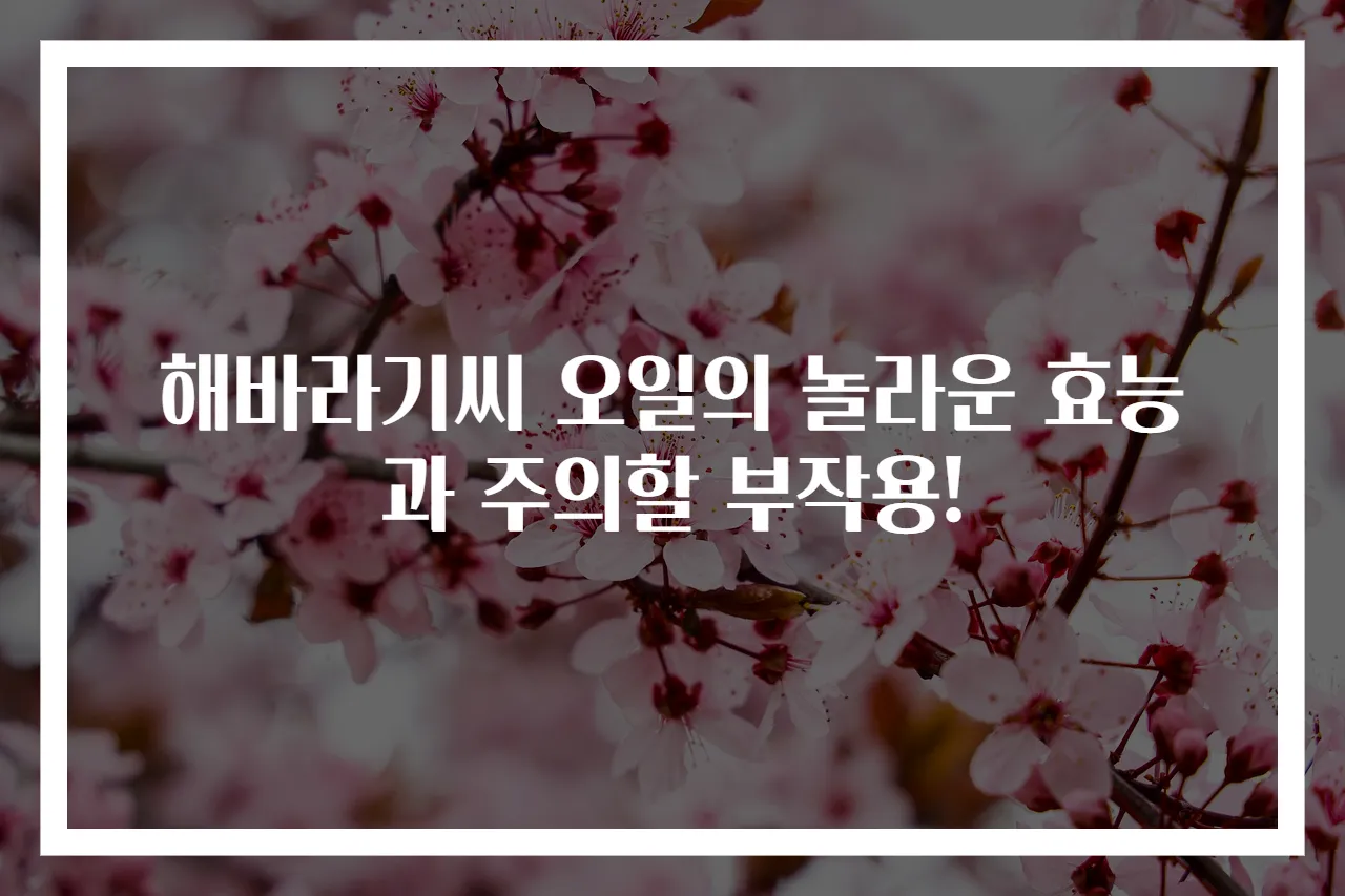해바라기씨 오일의 놀라운 효능과 주의할 부작용!