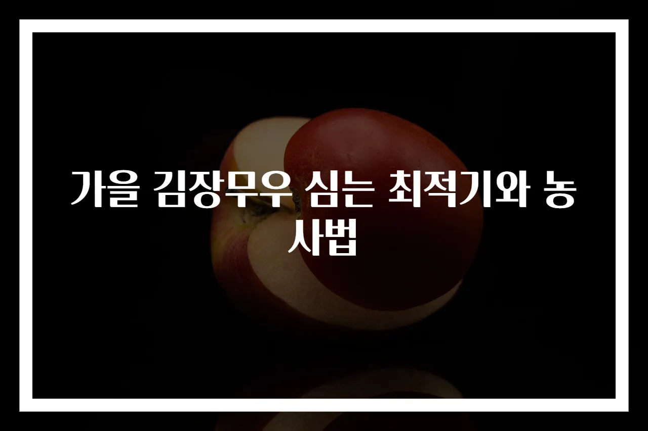 가을 김장무우 심는 최적기와 농사법
