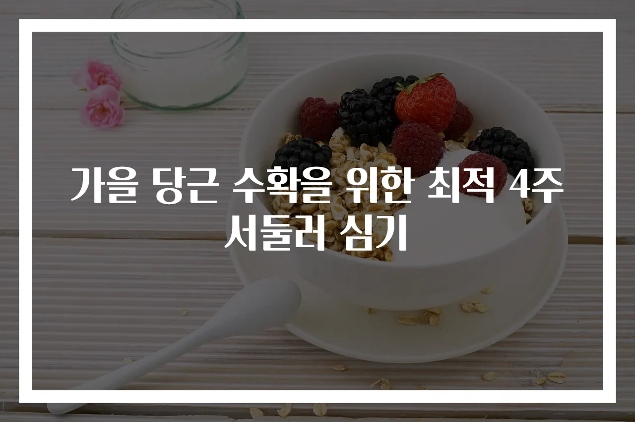 가을 당근 수확을 위한 최적 4주 서둘러 심기