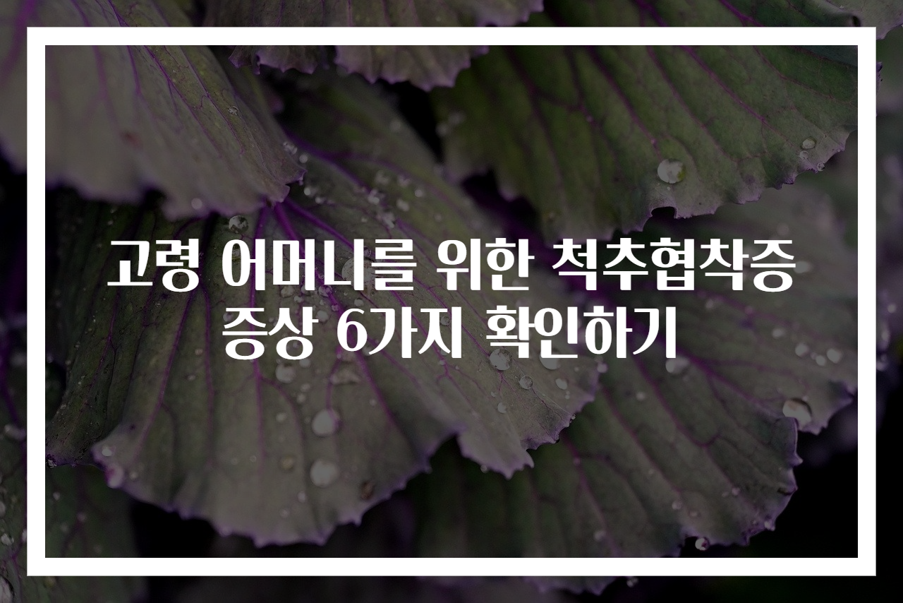 고령 어머니를 위한 척추협착증 증상 6가지 확인하기