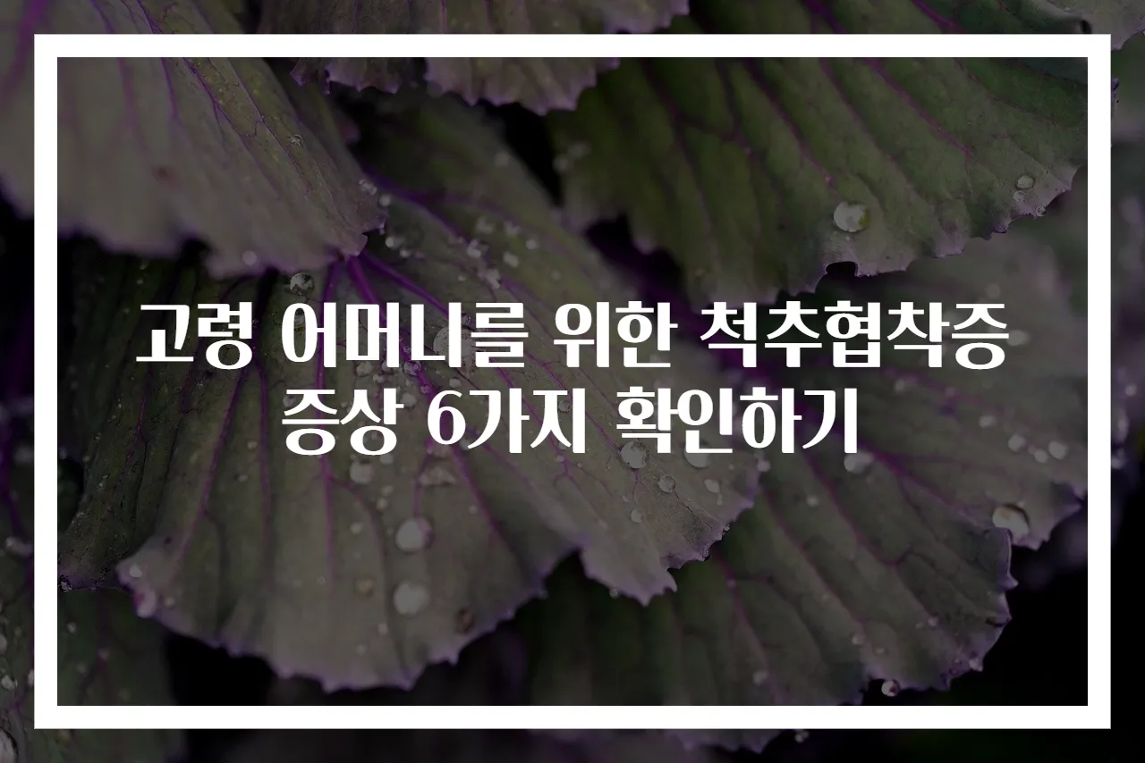고령 어머니를 위한 척추협착증 증상 6가지 확인하기
