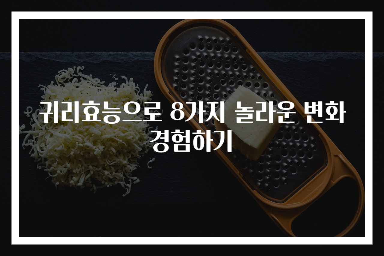 귀리효능으로 8가지 놀라운 변화 경험하기