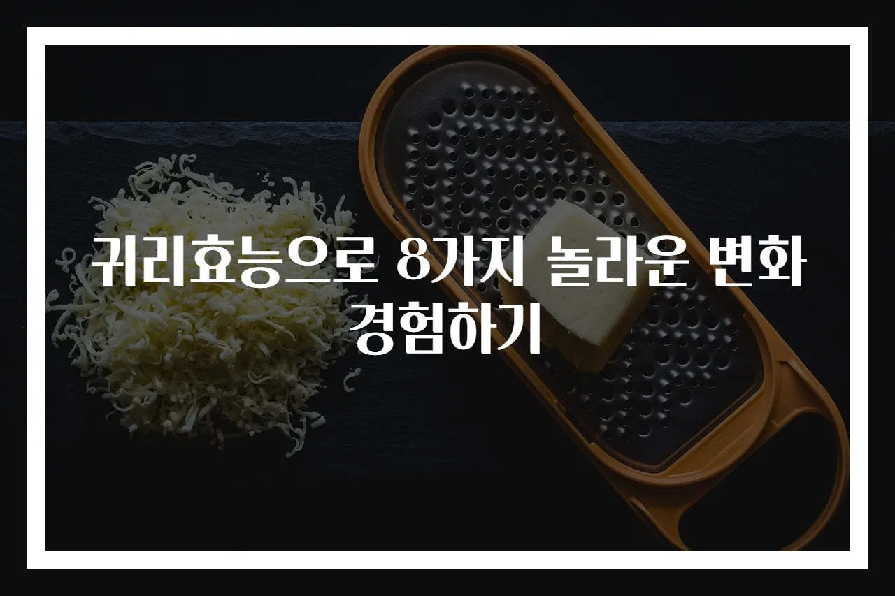 귀리효능으로 8가지 놀라운 변화 경험하기