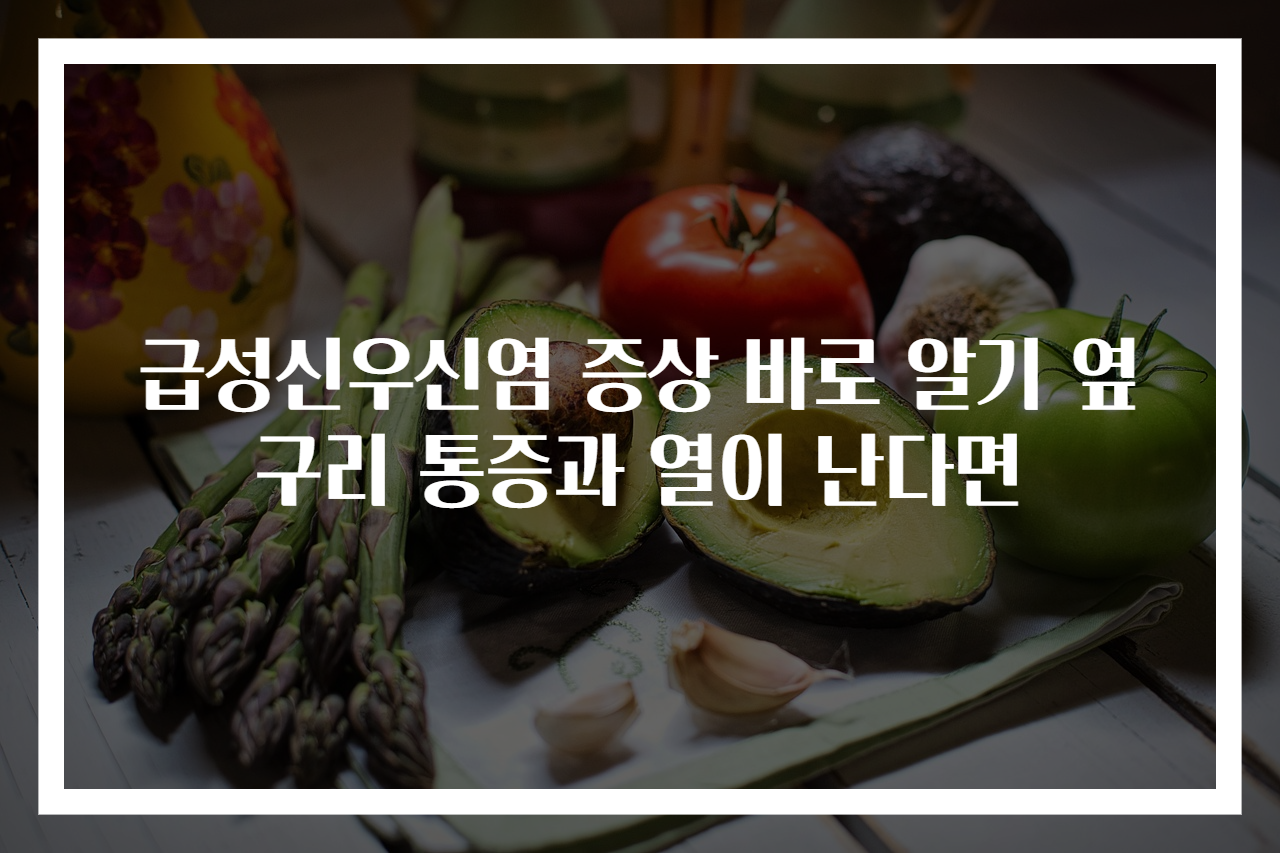 급성신우신염 증상 바로 알기 옆구리 통증과 열이 난다면