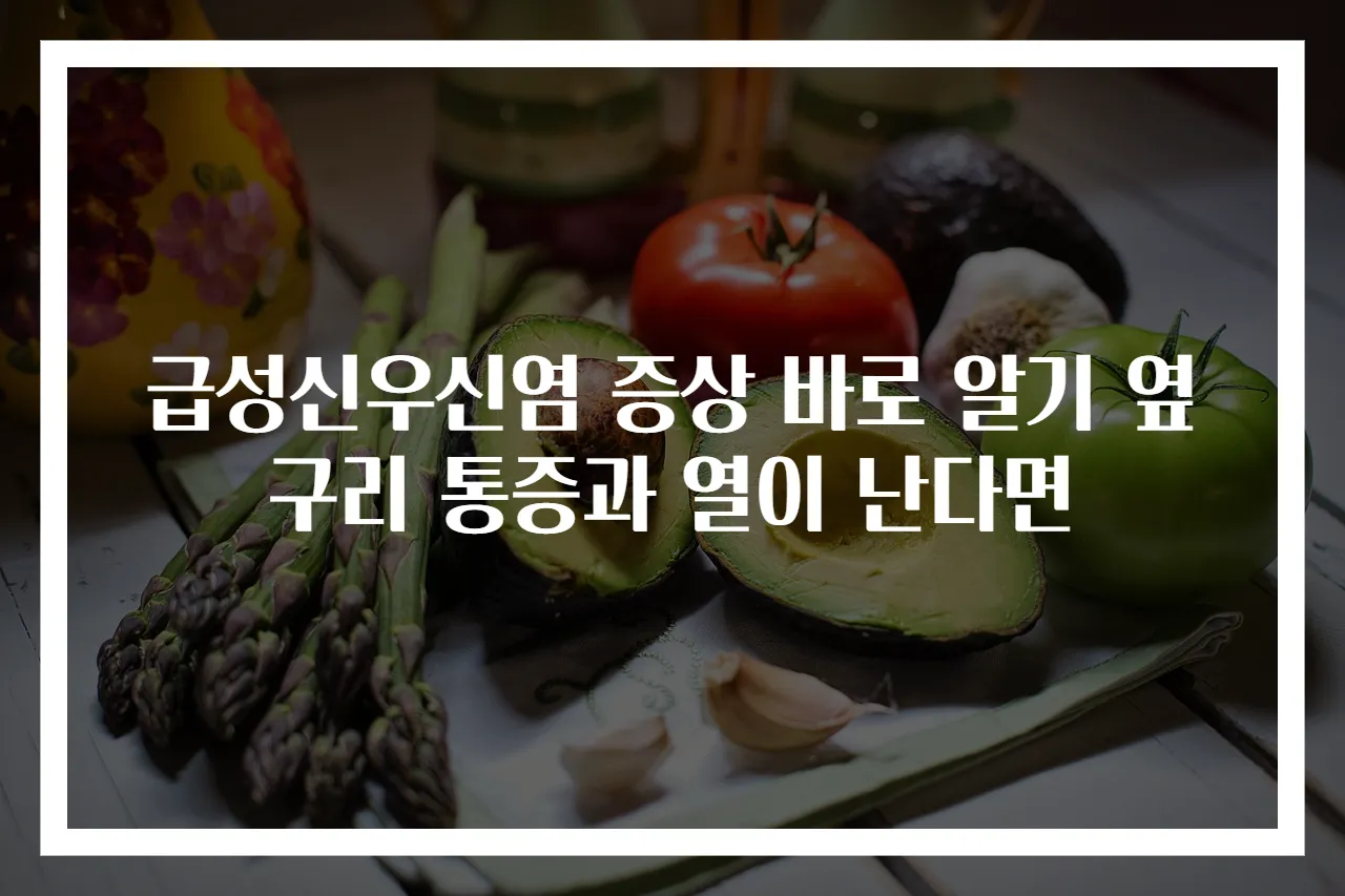 급성신우신염 증상 바로 알기 옆구리 통증과 열이 난다면